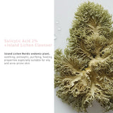 SALICYLIC ACID 2% + ICELAND MOSS CLEANSER